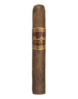 Flor Orig Robusto